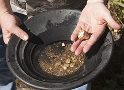 Searching Gold in sand and water with pan