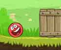 red ball miner